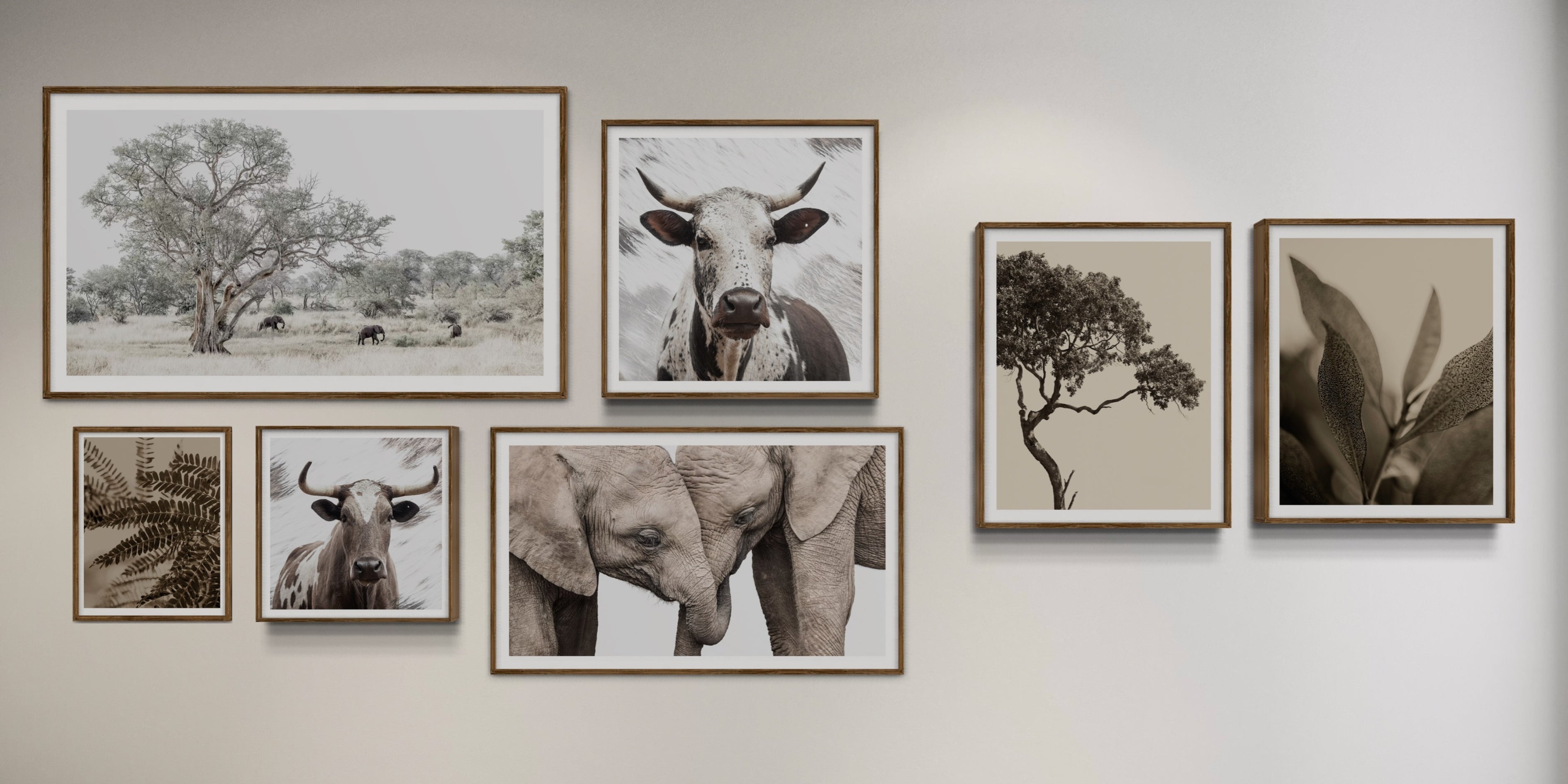 HUNGRY EYE FRAMED ARTWORKS