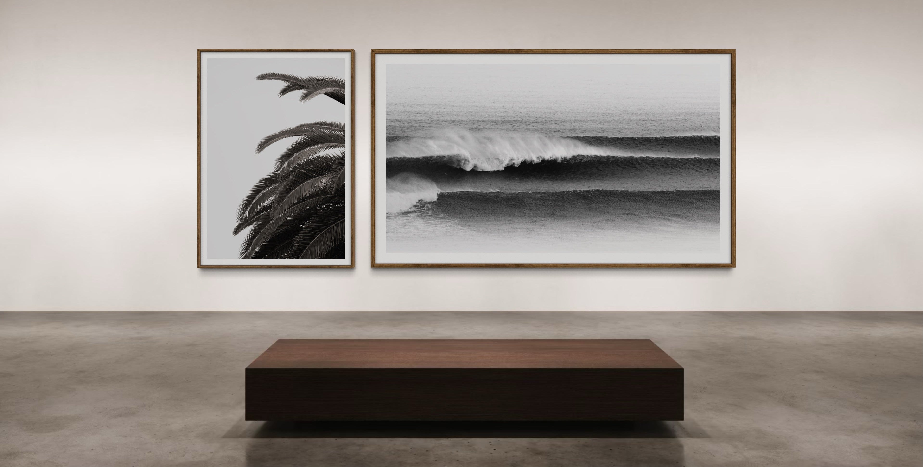 Two framed artworks of a palm tree and a wave on a wall in a gallery setting.