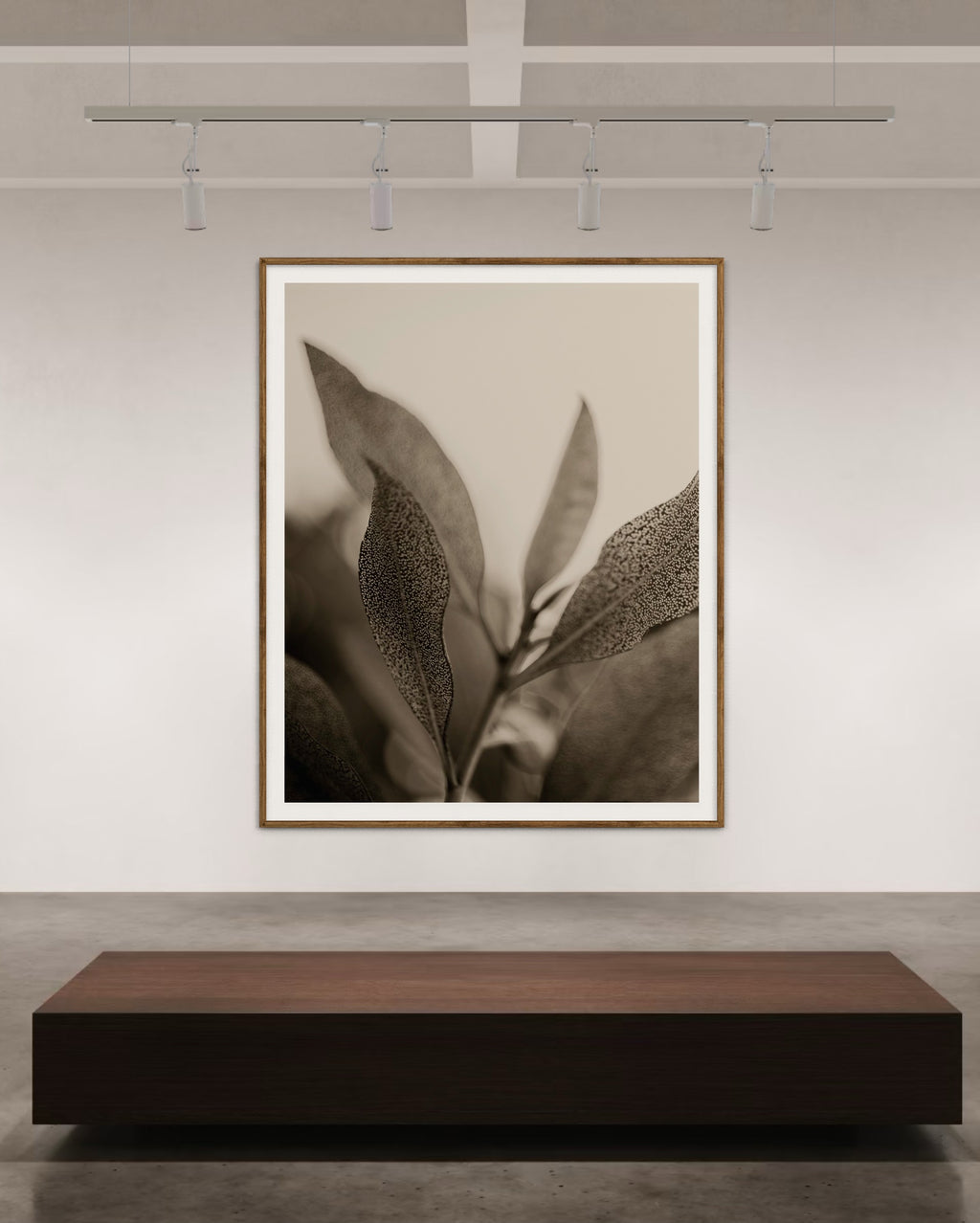 SUBTLE SYMPHONIES #1 (90x72cm Framed)