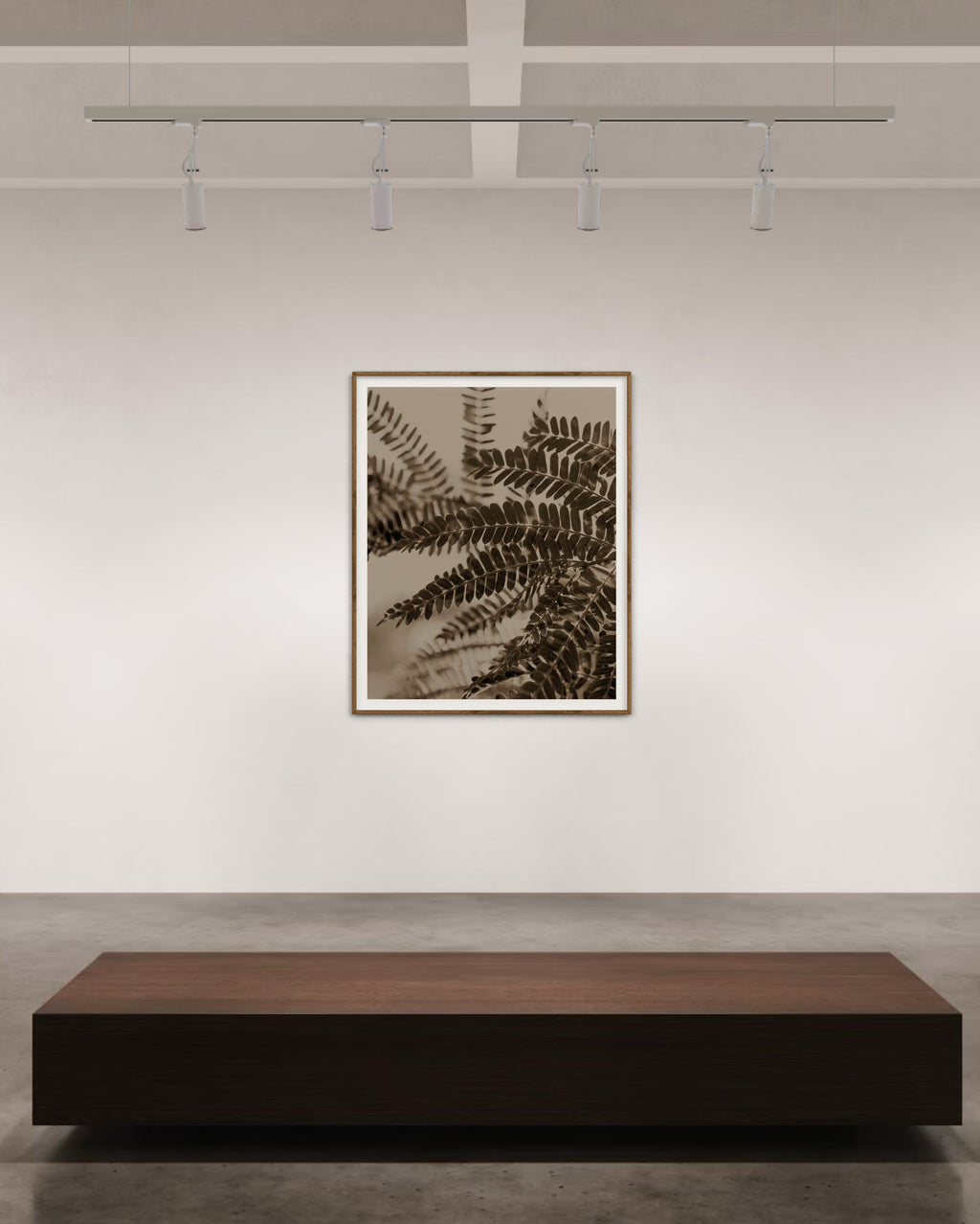 ACACIA SILHOUETTES #2 (60x48cm Framed)