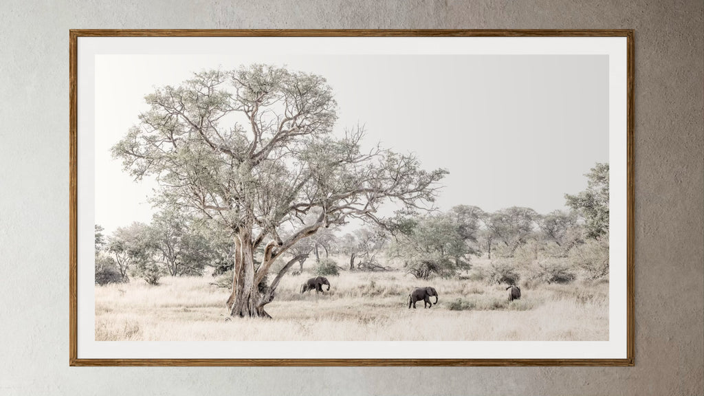 Natural wood framed artwork print of elephants in a savanna landscape with a large tree from the wildlife collection by Francoise V Fine Art Gallery in Cape Town, South Africa