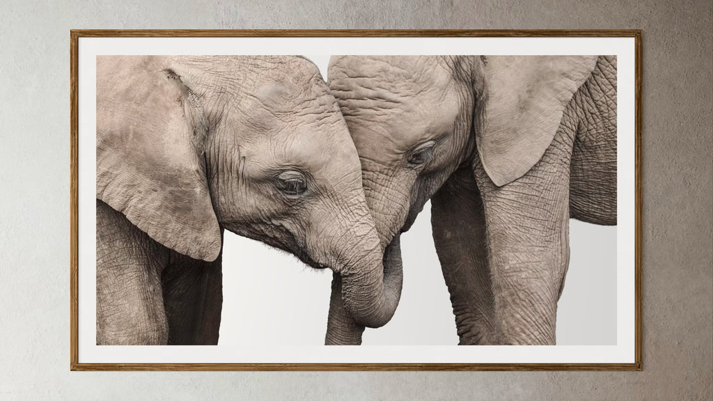 Natural Wood Kiaat framed artwork of a portrait of 2 elephants by Francoise V Fine Art Gallery in Cape Town, South Africa