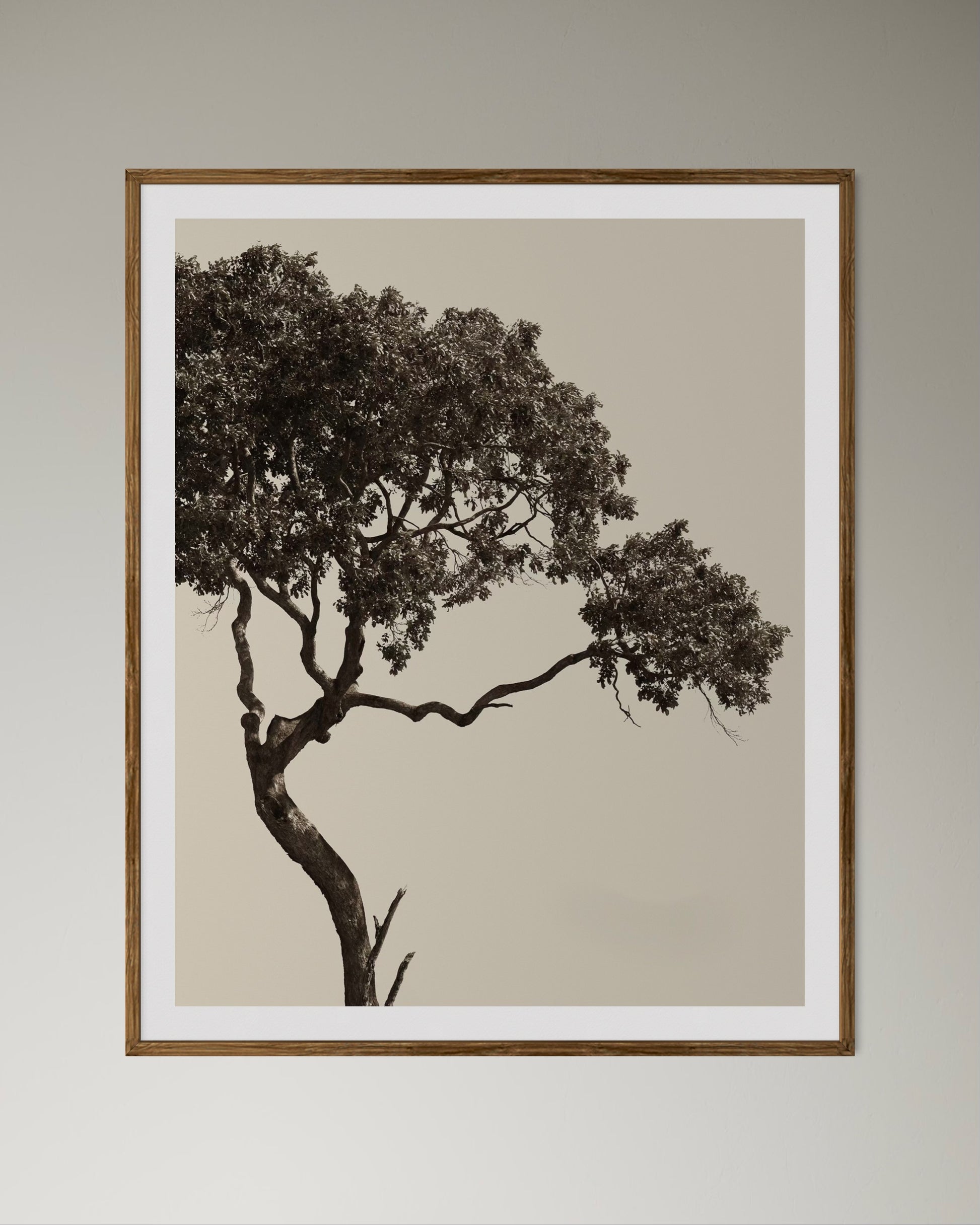 Natural wood-framed tranquil black and beige photographic artwork of a tree by Francoise V Fine Art Gallery in Cape Town, South Africa.