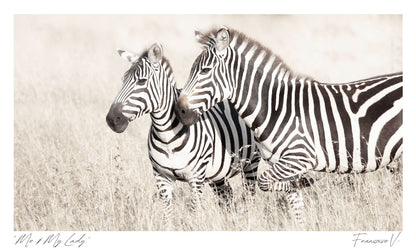 Me & My Lady Postcard