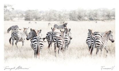 Serengeti Afternoons Postcard