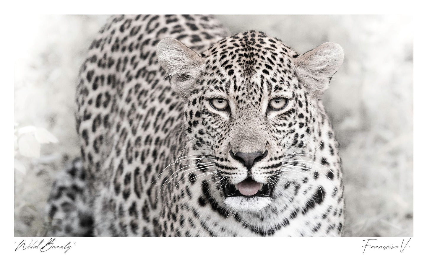 Wild Beauty Postcard