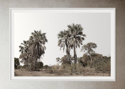 White box-framed artwork print of palm trees with a clear sky by Francoise V Fine Art Gallery in Cape Town, South Africa