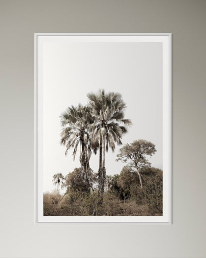 White box-framed artwork print of palm trees with a clear sky by Francoise V Fine Art Gallery in Cape Town, South Africa